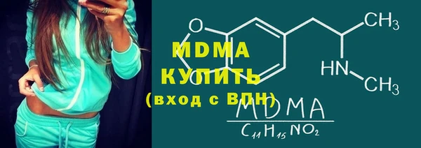 хмурый Алексин