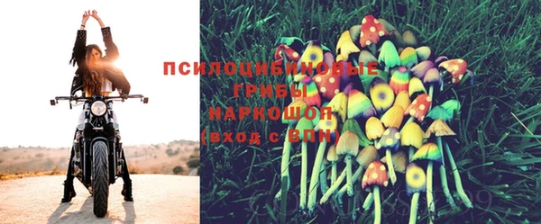 apvp Алзамай