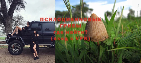 хмурый Алексин