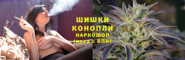 apvp Алзамай